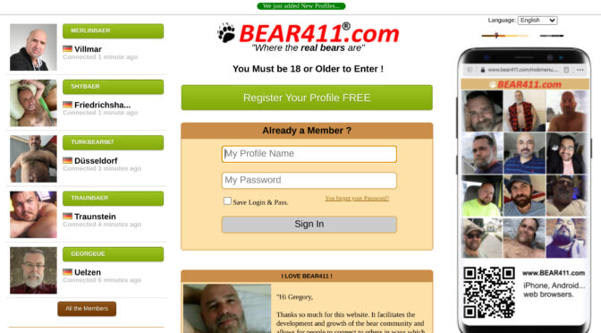 Bear411 Review: What You Need to Know